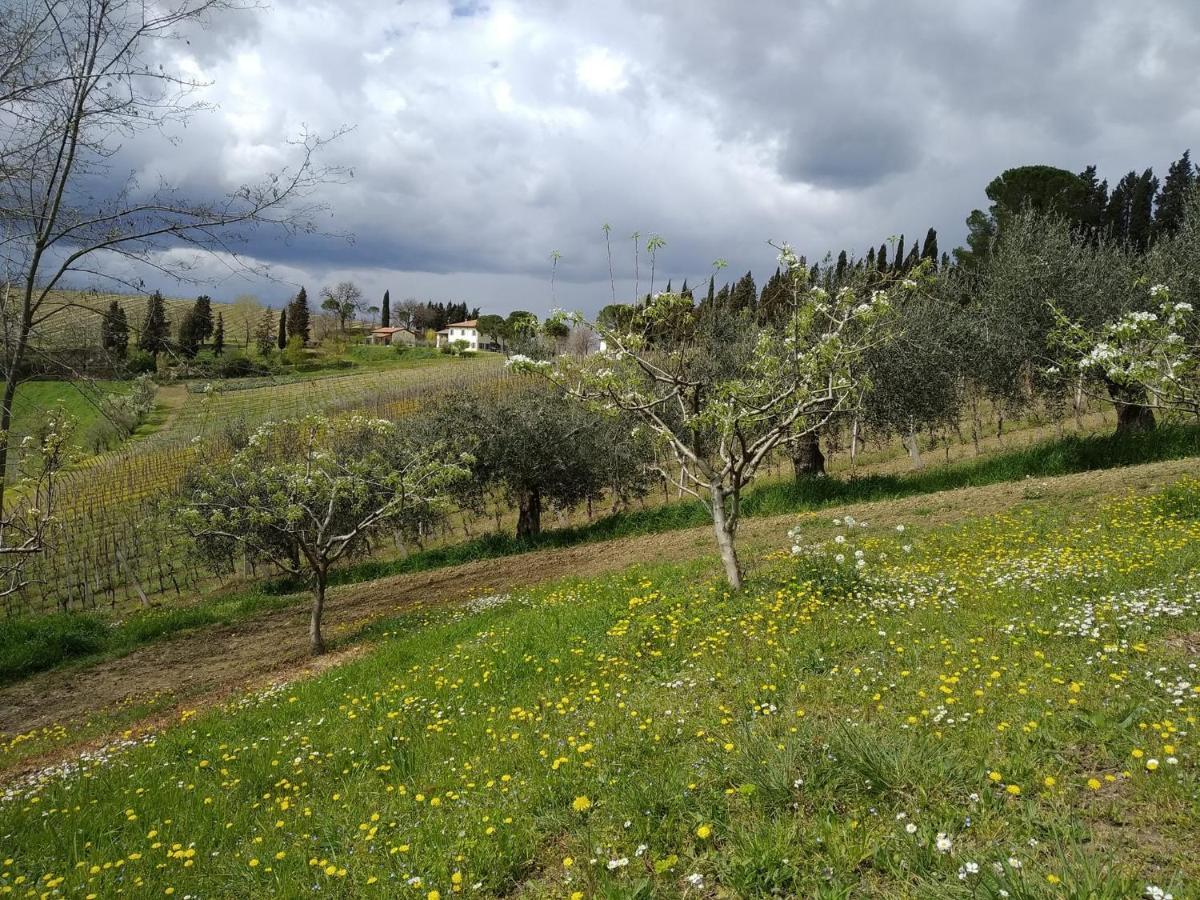 Agriturismo Ca'De'Gatti Faenza Dış mekan fotoğraf