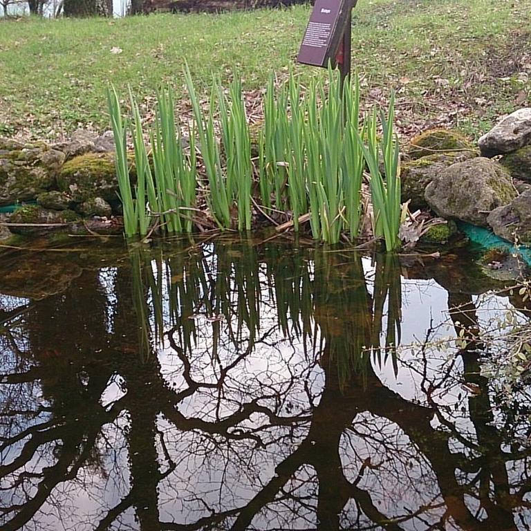 Agriturismo Ca'De'Gatti Faenza Dış mekan fotoğraf