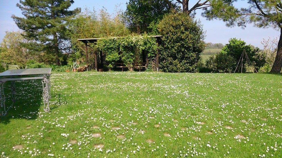 Agriturismo Ca'De'Gatti Faenza Dış mekan fotoğraf