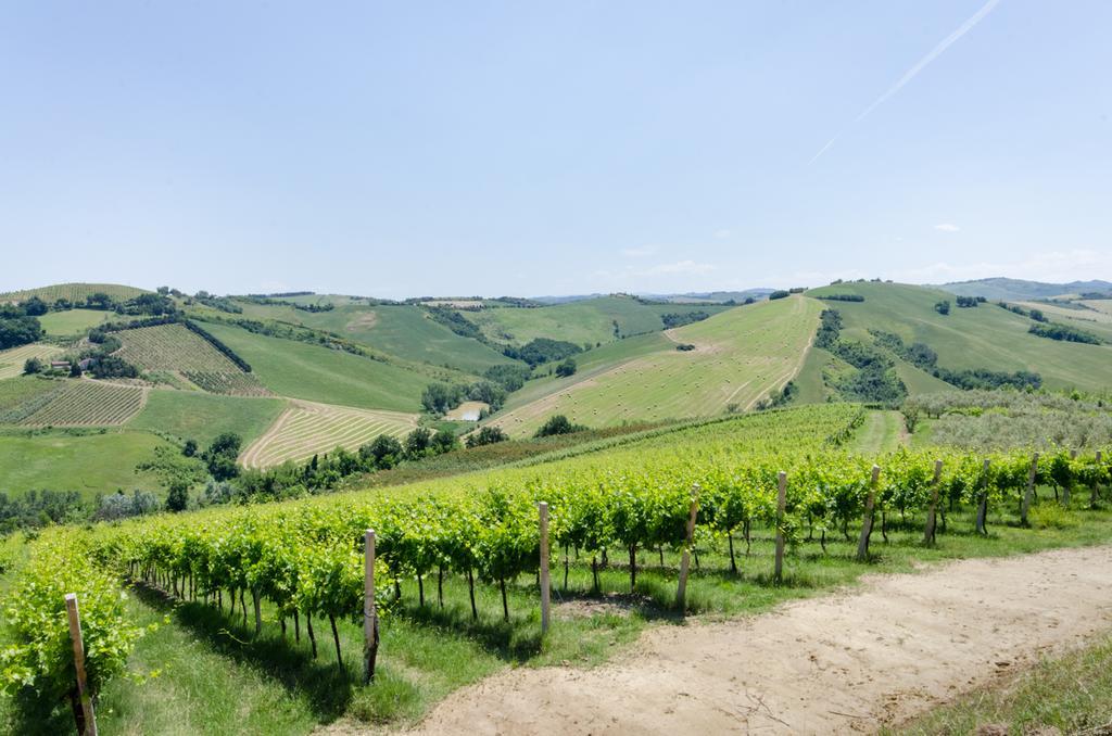 Agriturismo Ca'De'Gatti Faenza Dış mekan fotoğraf