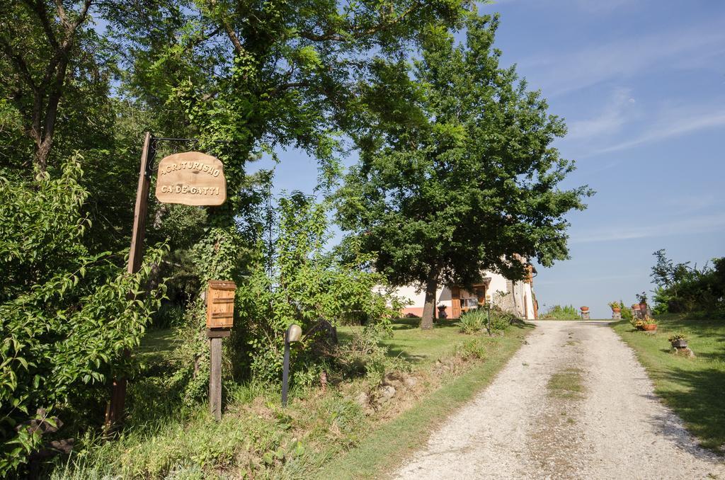 Agriturismo Ca'De'Gatti Faenza Dış mekan fotoğraf