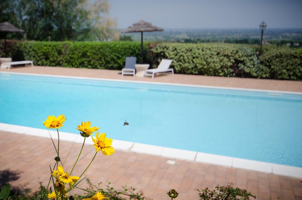 Agriturismo Ca'De'Gatti Faenza Dış mekan fotoğraf